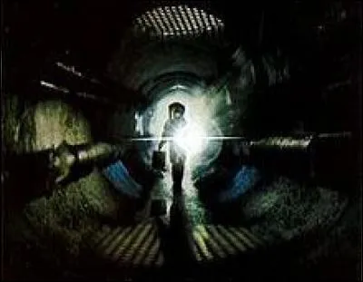 Comment parler d'insectes sans un petit film d'horreur. Petits insectes génétiquement modifiés devenus grands et vivant sous nos pieds.