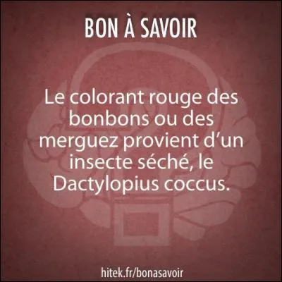 Regardez bien cette image et donnez votre avis : vrai ou faux ?