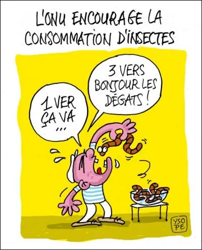 Combien de personnes , dans le monde, mangent des insectes ?