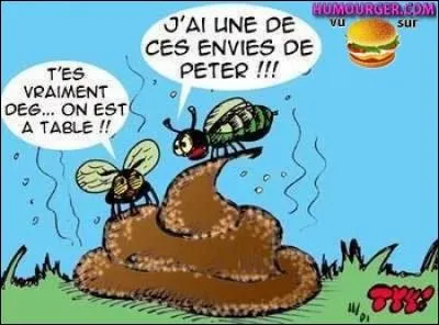 Comment s'appellent les insectes qui font des boules d'excrément afin d'y pondre leurs oeufs ?