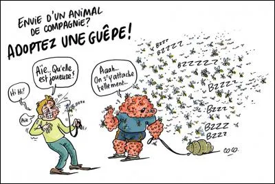 Toutes les espèces différentes de guêpes vivent en colonies nombreuses