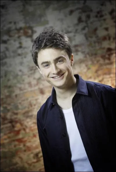 À quel poste Harry travaille-t-il au ministère de la Magie?