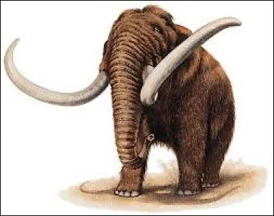 Quand les derniers mammouths se sont-ils éteints ?