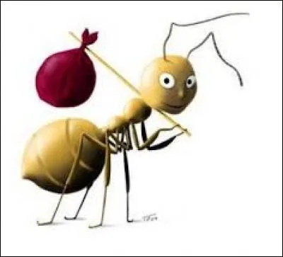 Monsieur Faon, nous nous passerons de votre avis, merci. Mon nom est Fourmi, Fourmi Charpentière. Si nous refusons que Mademoiselle l'Araignée devienne un insecte, elle reviendra à la charge. Je propose de l'enfermer dans ma modeste demeure, située dans le :