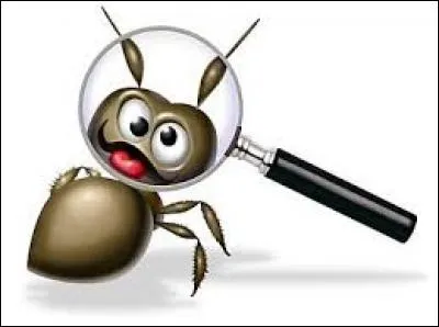 Quelle idée ! Vous voudriez nous remplacer par cette boule de poils accompagnée de 8 pattes ? Jamais ! Personnellement, je préfère vivre sur certains animaux, mais je n'apprécie pas pour autant les araignées. Je me présente...