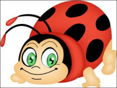 Bon, les enfants, on se calme et on retrouve son sérieux. Je suis Madame Coccinelle. Pour être tranquilles et nous calmer, je vous propose de parler de nos couleurs préférées. Me concernant, ce sont les couleurs ornant ma carapace :
