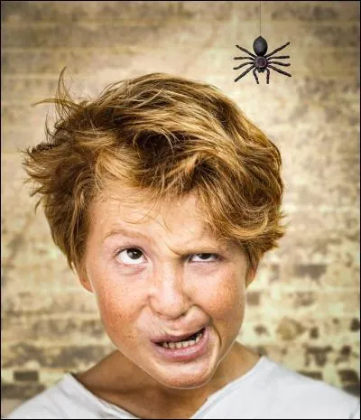 Quelle métaphore utilise-t-on pour dire qu'une personne n'a pas un comportement normal ?