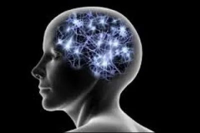 La mémoire eidétique est une mémoire photographie très précise. Certains autistes possèdent cette capacité et ont déjà fait des prouesses. C'est le cas de Stephen Wiltshire qui a réussi à redessiner la ville de (...) après l'avoir survolée pendant 45 minutes.