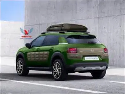 Quelle voiture pourrait vous piquer ?