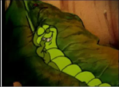 Où apparaît cette petite chenille ?