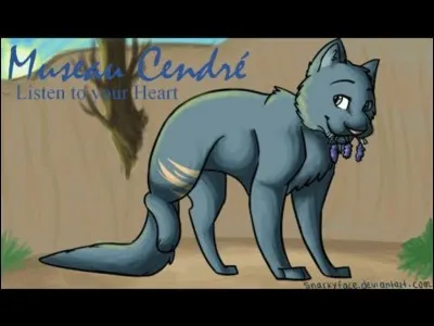 Museau Cendré a-t-elle aimé quelqu'un ?