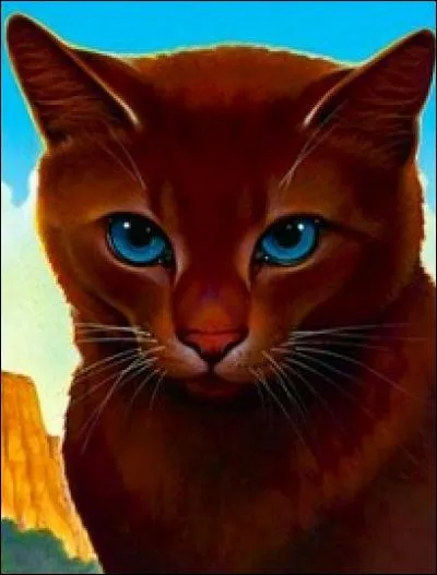 Quel chat a connu le père d'Étoile de Feu ?