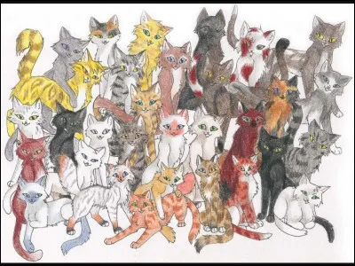 Combien de chefs y a-t-il eus depuis le début des clans ?