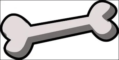 Combien d'os a un cheval ?