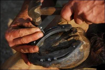 Comment s'appelle le monsieur qui pose les fers aux chevaux ?