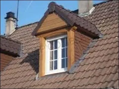 Retirez une lettre à l'objet représenté ci-dessus et vous trouverez l'insecte dont je parle :