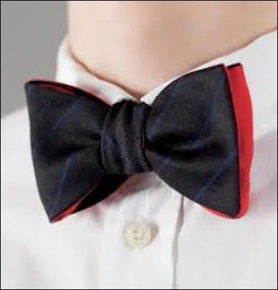 Le suivant est un magnifique, ou pas, insecte volant de toutes les couleurs. C'est le :