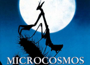Quiz Microcosmos : le peuple de l'herbe