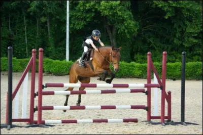 Comment s'appellent les barres par-dessus lesquelles saute le cheval ?