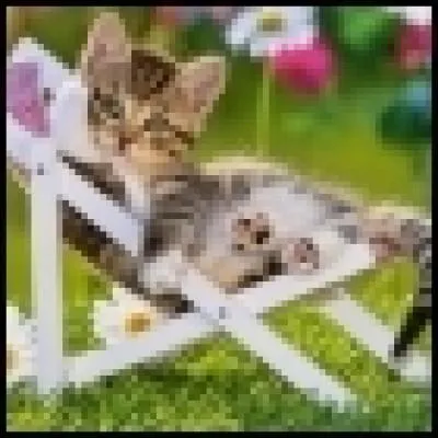 AmélieXD01,Tinilloovvee, Vampire3, Lola, Zywahx. Quel autre membre a-t-elle cité dans sa description ?