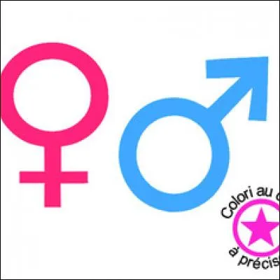 D'après son profil, Vava est...