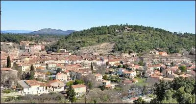 Village situé entre Brignoles et Saint-Maximin, traversé par la rivière le Cauron. C'est un village typique du Var, appelé...