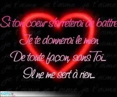 Quelle célébrité n'a jamais voulu rentrer dans une catégorie sexuelle ?( homosexuel, bisexuel, hétérosexuel...)
