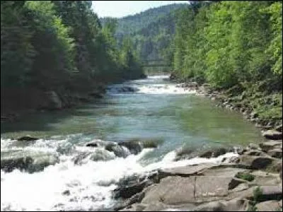 Dans quel pays, la rivière nommée Prout prend-elle sa source ?