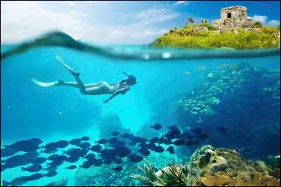 A quelle chanteuse doit-on les titres "Orinoco Flow" et "Caribbean blue" ?