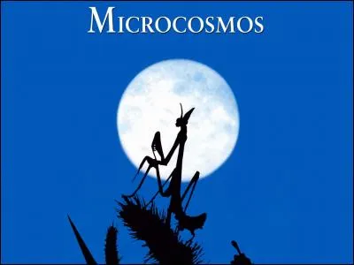 Quel est le titre complet de "Microcosmos" ?