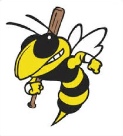 A quel groupe appartient la chanson "Attack of the killer b's" ?