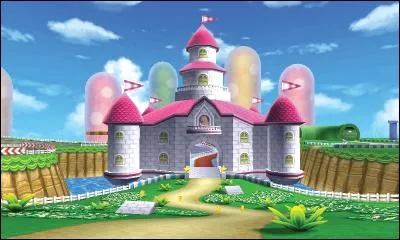 Dans quel monde vivent Mario et toute sa bande ?