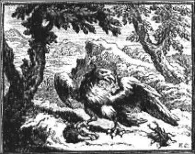 "L'Aigle donnait la chasse à Maître Jean Lapin,
Qui droit à son terrier s'enfuyait au plus vite", de qui le second rencontra-t-il le trou pour s'y blottir ?