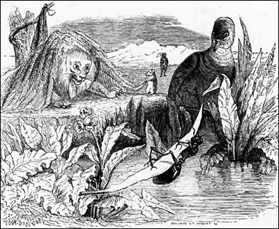 "Le long d'un clair ruisseau buvait une Colombe", qui se pencha et y tomba ?