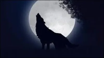 Selon la l&eacute;gende, quelles cr&eacute;atures mythiques tireraient leur force de la Lune et seraient capables de passer de leur forme humaine &agrave; leur forme bestiale pendant les nuits de pleine Lune ?