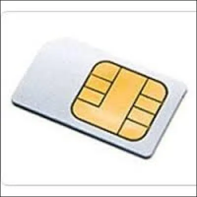 La puce de mon téléphone est toute petite.