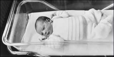 En février 1982, une petite fille appelée Amandine est née, elle ea la particularité d'être le premier...