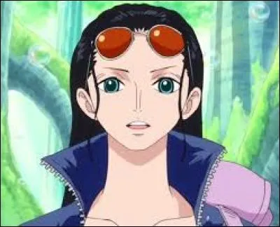 Robin a-t-elle fait partie de l'Armée révolutionnaire ?