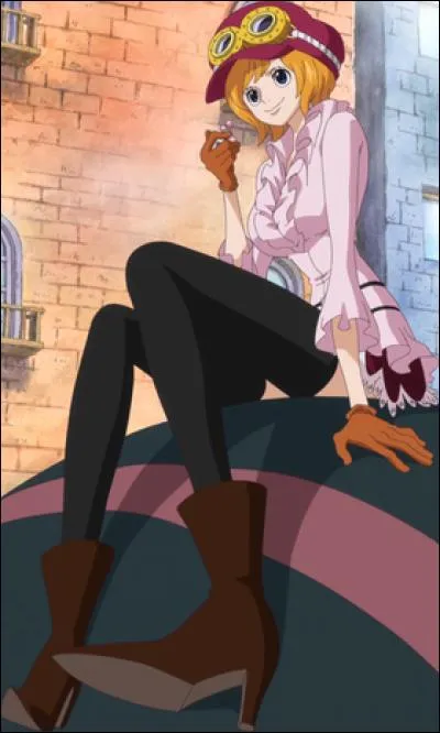 Quel âge a Koala jusqu'à l'arc Dressrosa ?