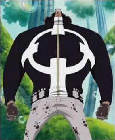 Quelle est la première partie du corps de Bartholomew Kuma à avoir été modifiée dans le cadre des recherches sur les "armes humaines" ?