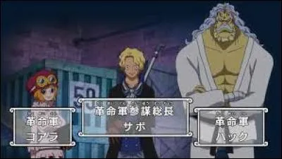 À quoi sert l'Armée révolutionnaire ?