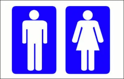 Chez l'homme, quel doigt a la longueur la plus proche de celle du majeur ?