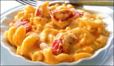 Les macaronis au fromage à l'origine (pas ce que les Américains en ont fait) vient :