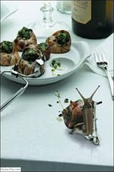 Que disent 2 escargots lorsque qu'ils rencontrent une limace sur une plage ?