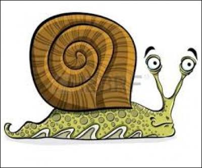 Que dit un escargot quand il voit passer une limace dans la rue ?