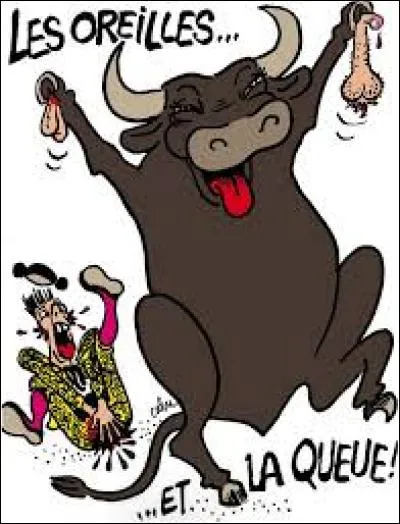Pourquoi le taureau est-il toujours triste ?