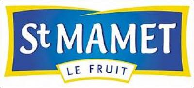 En février 2016, Matthieu Lambeaux et ses employés tente de sauver leur entreprise "St Mamet", quelle a été leur action ?