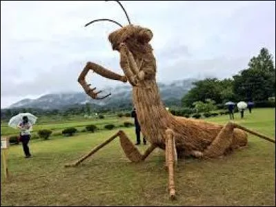 Dans quel pays a été réalisé cette sculpture en paille pendant le Wara art festival ?