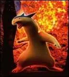 Quel est ce pokemon ?