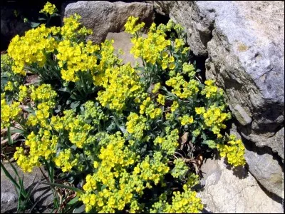 Rester assis provoque des petits désagréments... Quels insectes ne courent pas dans les veines de nos jambes ?